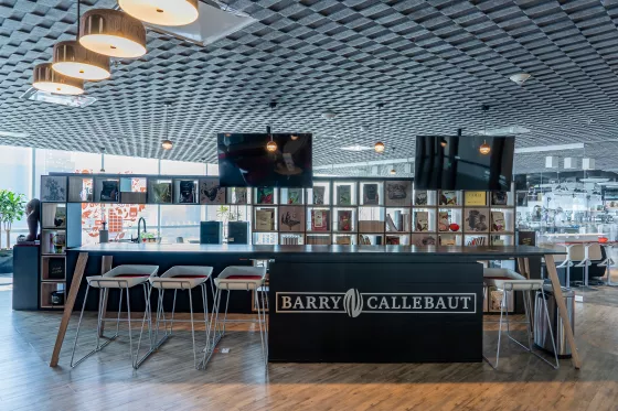 chocolate academy mexico